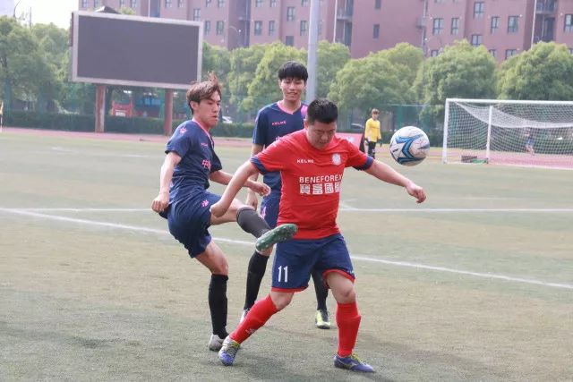 桑德兰对阵布莱顿的英超对决信息